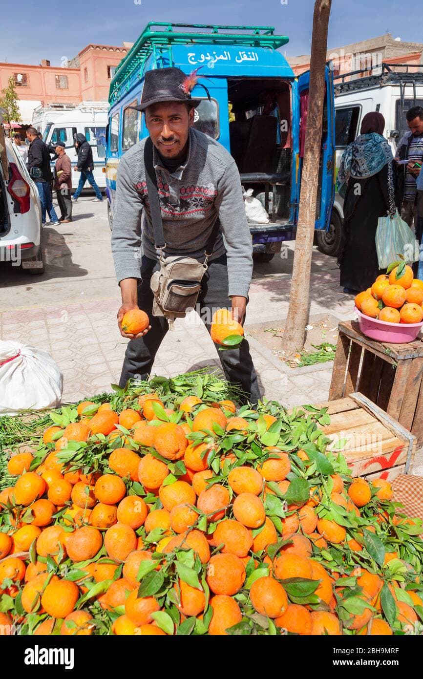 oranges 